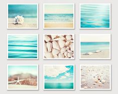 Nautica No4 by Alan Blaustein 12x12 Shell Ocean Coastal Poster BEACH ART PRINT