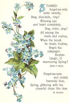 43 Forget Me Nots Ideas Forget Me Not Watercolor Flowers Forget Me Not Tattoo 43 Forget Me Nots Ideas Forget Me Not Watercolor Flowers Forget Me Not Tattoo