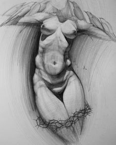 Naked Gay Men And Nude Boy Drawings