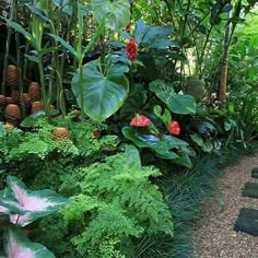 Vegetable Garden Design, Tropical Plants, Garden Landscaping