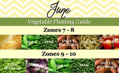 15 Gardening Zone 7 Ideas Zone 7 Fall Garden Vegetables Autumn Garden