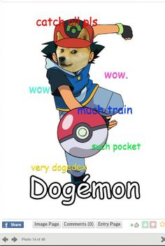 Doge Doge