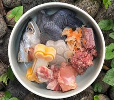 50 Ideas De Alimento Crudo Para Perros En 2021 Alimentos Perros Comida Para Perros