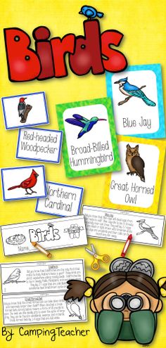 1 7k best early childhood science and social studies prek 2 images