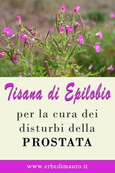 crema esterna per prostatite