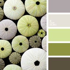 beige, brown, chocolate, color match for home, color palette, grey beige, brown, chocolate, color match for home, color palette, grey