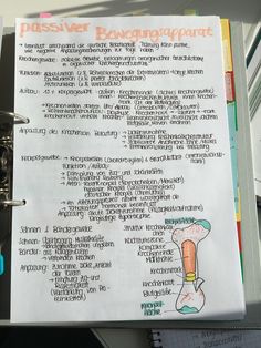 Muskelsystem Anatomische Poster Muskel und die Spinalnerven-Anatomie-Diagramm Educational Skeleton Modell-Wand-Plakat-Dekor f/ür Klassenzimmer Krankenhaus