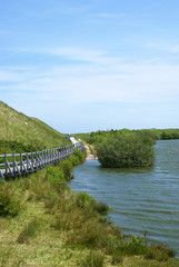 Insel Amrum Bild Von Elli Pirelli Amrum Bilder Lizenzfreie