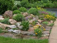 Garden Design Rockery how to: build and plant an alpine rock garden | alpine plants, low Garden Design Rockery how to: build and plant an alpine rock garden | alpine plants, low