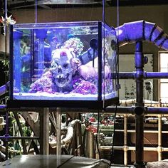 66 best sick aquariums