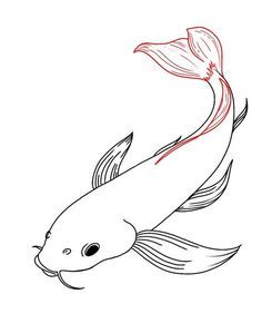 How To Draw A Fish Fun2draw Animal Drawings Cartoon Tutorial