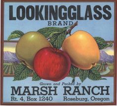 Roseburg Oregon LOOKINGGLASS Brand *AN ORIGINAL APPLE CRATE LABEL*