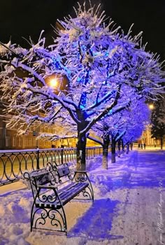 Bilder winterlandschaft - Die hochwertigsten Bilder winterlandschaft unter die Lupe genommen