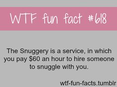Weird Jobs More Of Wtf Fun Facts Are Coming Here Funny And Weird Facts Weird Jobs More Of Wtf Fun Facts Are Coming Here Funny And Weird Facts
