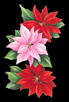 3 859 free christmas clip art images for all your holiday projects