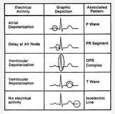 Nurse Nightingale: {ABGs} Arterial Blood Gases: The Nurse Nightingale: {ABGs} Arterial Blood Gases: The