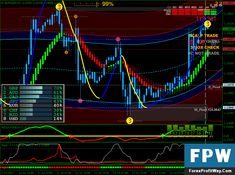 2020 forex superstar