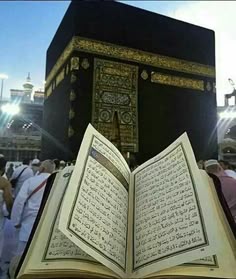 من جديد❤ومن القلب - صفحة 21 F5780b30fed083340fcc9d077257bd6b
