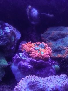 28 best aquarium stuff