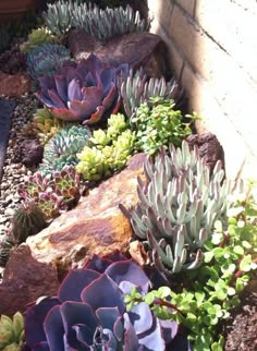 94 Besten Bilder Von Garten Deko In 2019 Home Decor Design 20 Schöne Rock Garten Design Ideen