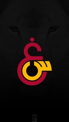 İlayda Kizir - Senior Customer Experience Agent - A.P ...