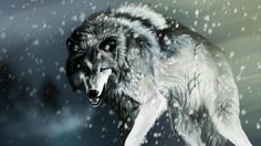 White Wolf Snow Pictures Hd Wallpaper Jpg Wolf Background White Wolf Snow Pictures Hd Wallpaper Jpg Wolf Background