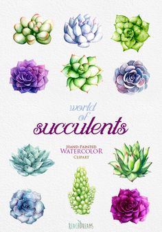 Succulent invitation Succulent RSVP Succulent Wedding Invitation Set Succulent wedding set Wedding RSVP card Succulent Details insert