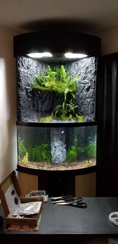 15 best aquarium lighting images aquariums diy led aquarium led