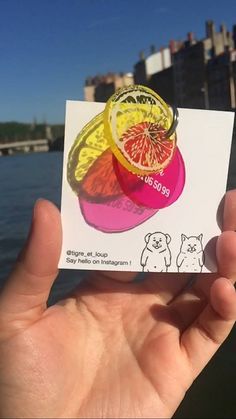 10 Idees De Medaille Chien Medaille Chien Chien Medaille 10 Idees De Medaille Chien Medaille Chien Chien Medaille