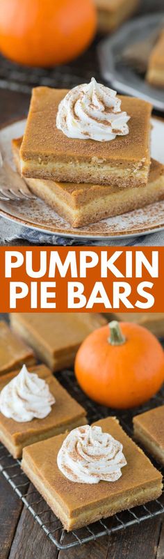 482 best pumpkin everything
