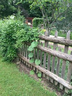 53 Best Creative Fence Designs Images Gardening Privacy Fences Unusual Fence Garden Gates And Fencing Arbor Easy Home