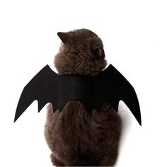 lapus 2 Pack Halloween Pet Bat Wings Cat Dog with 2 Pumpkins bell Bat Vampire Costume Halloween Accessory for Puppy Dog and Cat