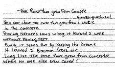 Allegory of the cave essay