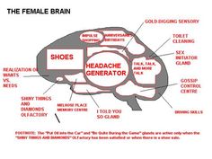 funny sexy humour powerpoint avi Toronto feet foot fetish