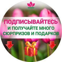 Флориум Интернет Магазин Украина