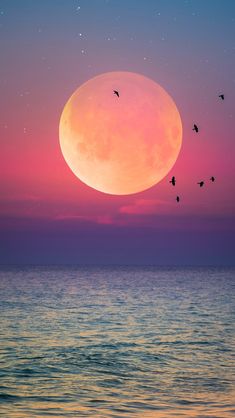 Cell Phone Wallpapers Wallpapers Ipad Phone Lockscreen Balloon Aesthetics Kawaii Landscapes Backgrounds My World Cell Phone Wallpapers Wallpapers Ipad Phone Lockscreen Balloon Aesthetics Kawaii Landscapes Backgrounds My World