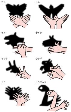 保育 誕生日会 のアイデア 24 件 保育 誕生日会 手作りおもちゃ 保育 誕生日会 のアイデア 24 件 保育 誕生日会 手作りおもちゃ