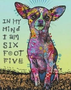 3” Chihuahua Dog Pop Art Rainbow Woof Pet Adopt Puppy Vinyl Cool Sticker