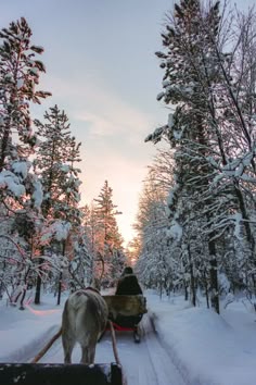 Marvelous Delta Snow Sledge Pink