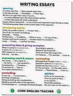 essay writing checker