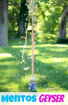 Mentos Geysers Easy Science Experimentsscience Mentos Geysers Easy Science Experimentsscience