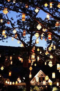 140 Best Tree Lanterns Images Outdoor 140 Best Tree Lanterns Images