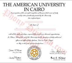 9 best egyptian diploma certificates images certificate colleges sample of diploma certificate
