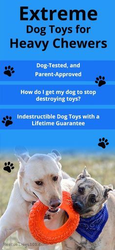 indestructible dog toys lifetime guarantee