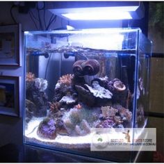 28 best led aquarium
