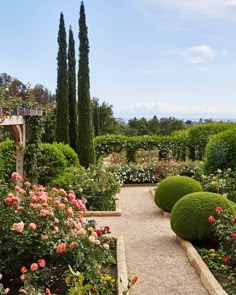 Rose garden in Montecito Rose Garden Design, Rose Garden, Beautiful Roses, Garden Landscaping