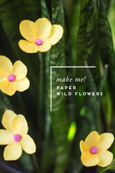 423 best paper flowers images paper flowers fabric flowers make wild flower paper