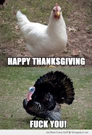 thanksgiving celebrating the acceptance of the \ f70cd6dba8193416875f6c8e711286ba thanksgiving quotes funny happy thanksgiving thanksgiving celebrating the acceptance of the \