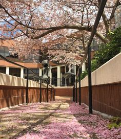 100 best vcu places