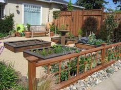 Front Yard Vegetable Garden Ideas front yard vegetable garden!one month update | front yards Front Yard Vegetable Garden Ideas front yard vegetable garden!one month update | front yards
